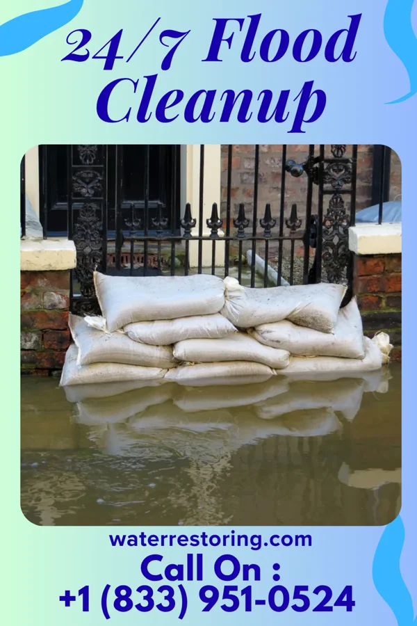 24/7 Flood Cleanup in Pineland, TX