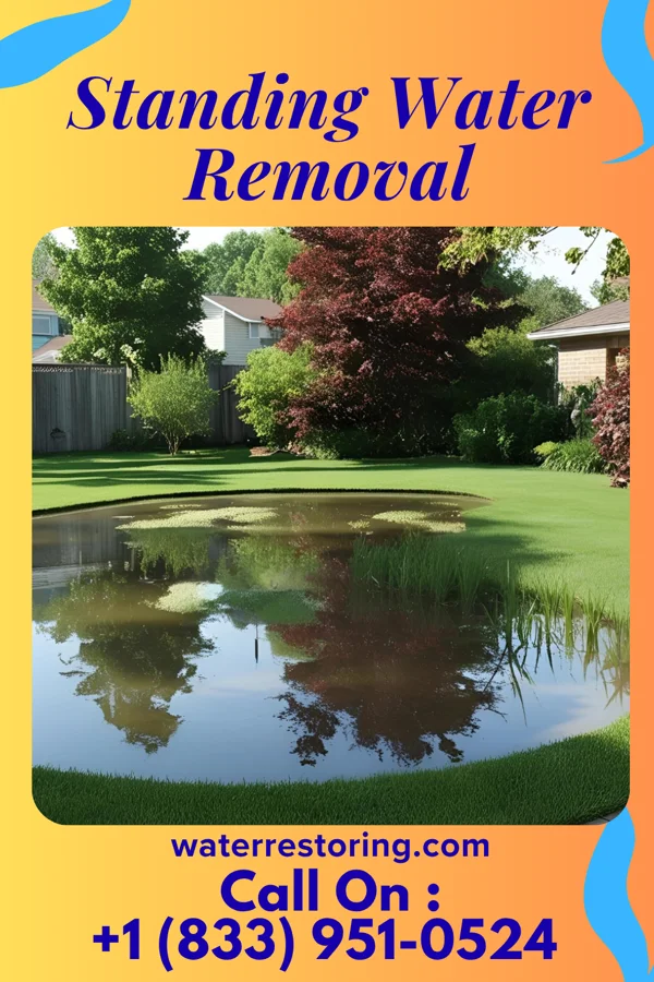 Standing Water Removal in Pineland, TX